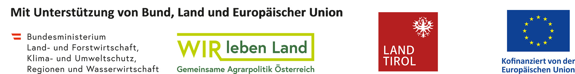 Logoleiste vordenken Osttirol